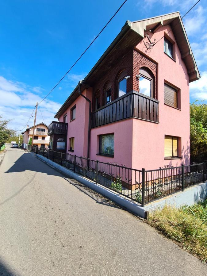 In Pavlovic Daire Banja Koviljača Dış mekan fotoğraf